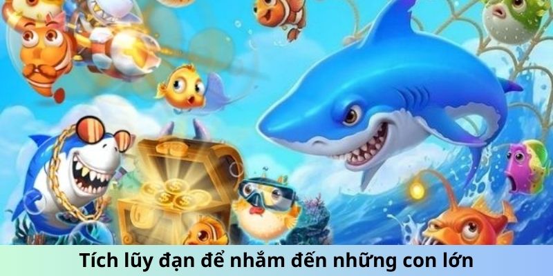 Tích lũy đạn để nhắm đến những con lớn